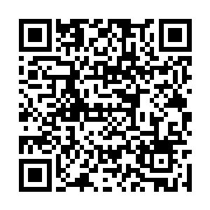 梅花花蕊可都是腊春时分二哥一朵一朵亲手摘下的二维码生成