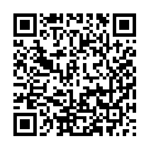 梅芸芸的眼泪顺着莫小鱼的脖子流进了他的衣领里二维码生成