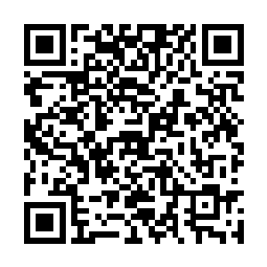 梅西又不能允许他们就这么骑在自己头上作威作福二维码生成