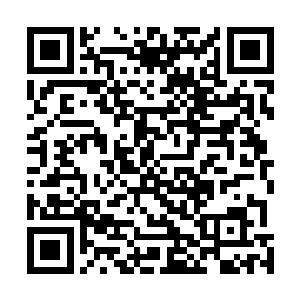 梅迪尔丽曾经吃下过三环高塔中很多工匠巫师的炼金物品二维码生成