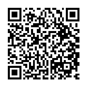 梅迪尔丽有些气急败坏地看着马文将圣杯重新藏进了虚空海螺里二维码生成