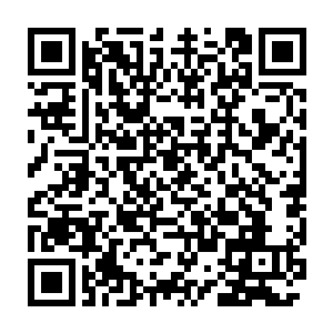 梅迪尔丽的恶魔血统为她提供的类法术能力都可以轻松地制服丹妮拉二维码生成