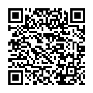 梅迪尔丽脑海里浮现出了那个传说中充满宝藏的地方二维码生成