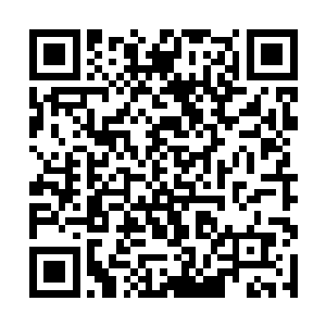 梅迪尔丽面色铁青地看着马文最近送过来的一张清单二维码生成