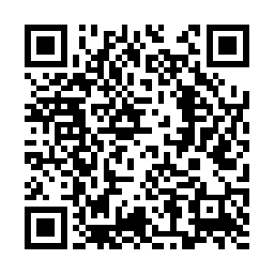 梓箐一下子就明白九离的意思……这个世界不简单二维码生成