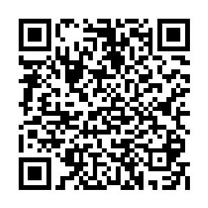 梓箐一度以为自己是游戏世界中等级最低的NPC了二维码生成