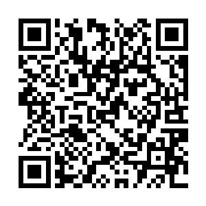 梓箐一直都给灵虚和小柯在农场中留了联系和通道二维码生成