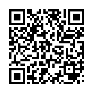 梓箐一遍又一遍的看着面板上的剧情简介二维码生成