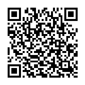 梓箐不知道他们是用什么方法将所有劫雷引到这个困天阵上的二维码生成