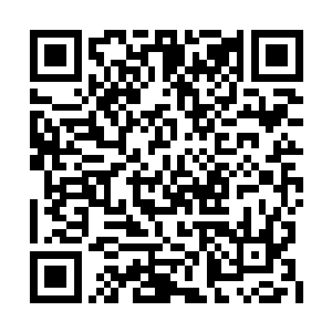 梓箐不知道张成此时竟然想的是自己母亲的庇护二维码生成