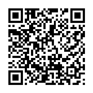 梓箐不管别人怎么看待玩家为原主生活逆袭的事情二维码生成