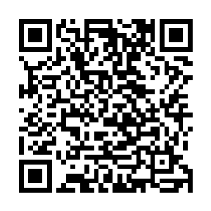 梓箐也终于理解为什么鸿会聘请许多大能玩家成为引导者二维码生成