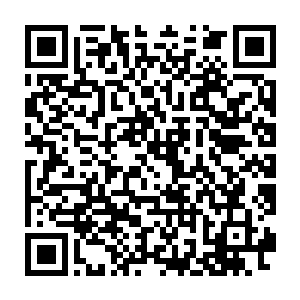 梓箐其实已经预见了一些事情……所以她愿意给小艾更多一些的宠爱二维码生成
