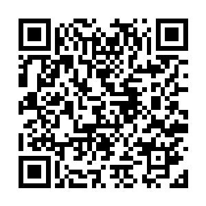 梓箐内心是赞同以前血族在这个剧情世界中推行的二维码生成