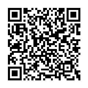 梓箐刚才将青瑶丢到她的铺满了鲜花的玉石台上二维码生成