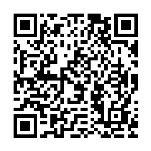 梓箐却是在听到那声夹在风中的若有若无的呼救声传入耳内时二维码生成
