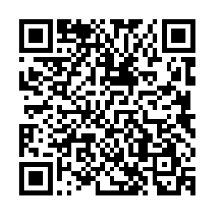 梓箐原本以整个修真界的力量对付叶枫一个人简直是绰绰有余了二维码生成