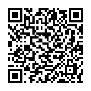 梓箐又怎会那么轻易就把自己陷入这陌生境地呢二维码生成