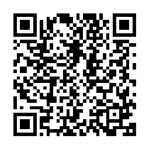 梓箐又看了一眼客厅角落的灵虚……不知道他现在过的怎么样二维码生成