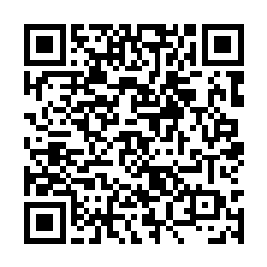梓箐可以在基地的建设和扩张间隙进行疯狂的修炼二维码生成