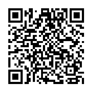 梓箐在他们面前一直都是以炼天炉的样子呈现的二维码生成