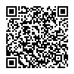 梓箐在她心目中刚刚建立起来的高大形象就被她自己取的名字给拉低了二维码生成