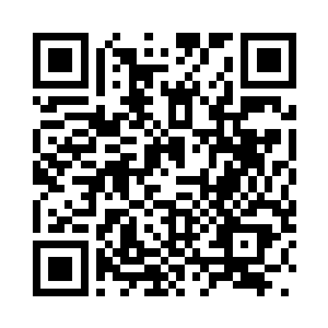 梓箐对于店里那些陈设全然不在乎二维码生成