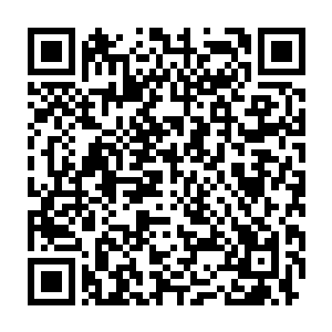 梓箐将周围飞逝而过的建筑物与原主记忆中的路况信息完全重叠起来二维码生成