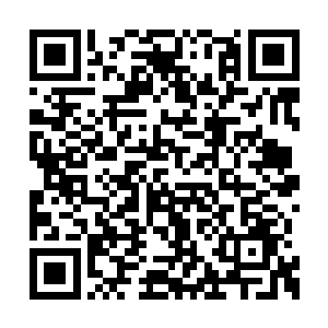 梓箐就有堂而皇之参加玩家之间的交易会的资格二维码生成