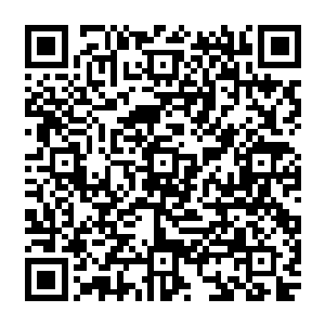 梓箐就看到广袤的大地就像是被人以一股无形大力卷起来……欲将她直接卷在里面当夹心二维码生成