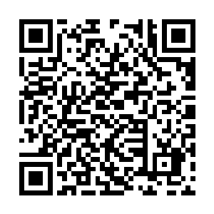 梓箐已经看不到当初带他们入主神空间时的影子了二维码生成