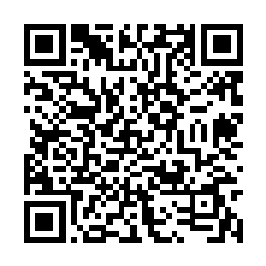 梓箐并不会自大地认为自己的精神世界是最高大上二维码生成