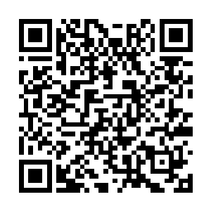 梓箐并没有从原主记忆中搜索多少关于前世的记忆二维码生成