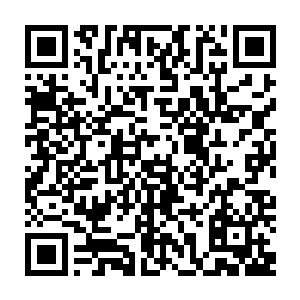 梓箐当然不会傻戳戳地站在原地等这些玩意来啃噬自己而是向远处急速遁去二维码生成