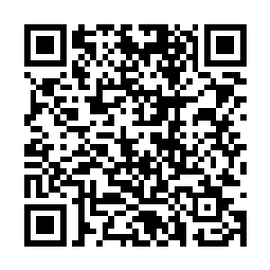 梓箐当然不会说自己是玩家是来为原主完成任务的二维码生成