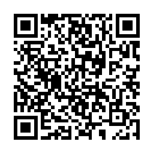 梓箐当然不可能让店家因为自己而耽误了这笔生意咯二维码生成