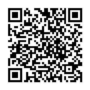 梓箐很明白自己所占据的这具丧尸是一个妥妥的炮灰二维码生成