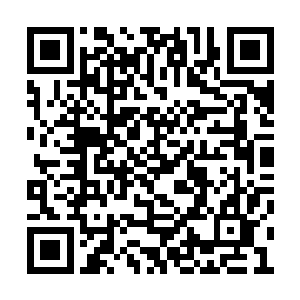 梓箐心中倒不是遗憾不能送原主好朋友最后一程二维码生成