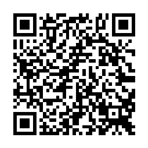 梓箐想到先前给芸家二老以及芸真留下的食物不多二维码生成