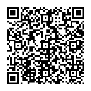 梓箐想到原主丈夫长成对原主的背叛和冷漠……可以说原主肖红和其女儿小艾最后那种结果二维码生成