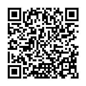 梓箐想自己现在所有属性值都可以带入剧情世界二维码生成