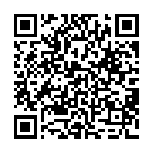 梓箐感觉到一股纯净的力量从手窜入自己体内……一刹那二维码生成