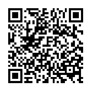 梓箐感觉自己像是又回到自己本体世界逆袭的那种感觉了二维码生成