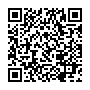 梓箐才想起自己是想开办一个炮灰女配逆袭事务所的二维码生成