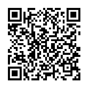 梓箐无法确认小鼎是否会和先前的灵珠之灵一样反噬主人二维码生成