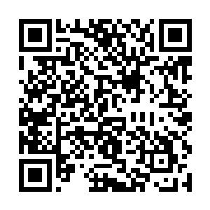 梓箐没想到原来玩家和委托者之间还有这么一层关系二维码生成