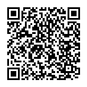 梓箐没想到竟然以这种方法为原主再次赢得了极高的声望幻想降临时最新章节二维码生成
