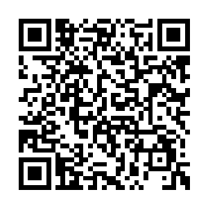 梓箐没想到这次任务竟然会以这样的方式去结束二维码生成