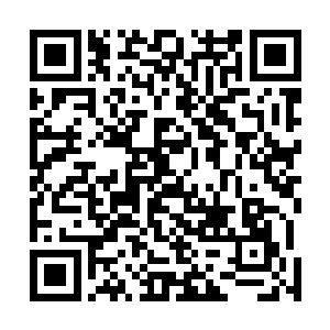 梓箐注意到远处地面上躺着的腐尸竟然真的在慢慢蠕动着二维码生成