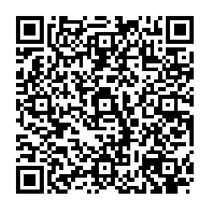 梓箐猛地联想起刚才那丝天地震颤……莫非眼前的雪灵被某种更加高级的法则控制了二维码生成